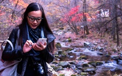 中文字幕熟女人妻偷伦在线视频